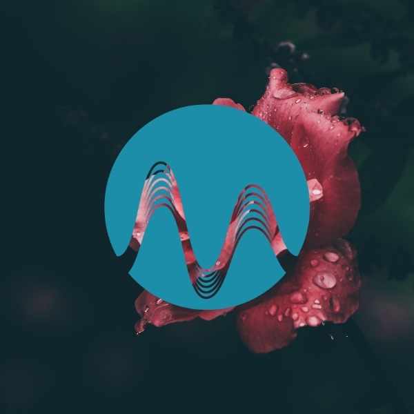 Magical Day - music catalogue - Music Radio Creative