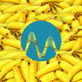 Mass Move cover art