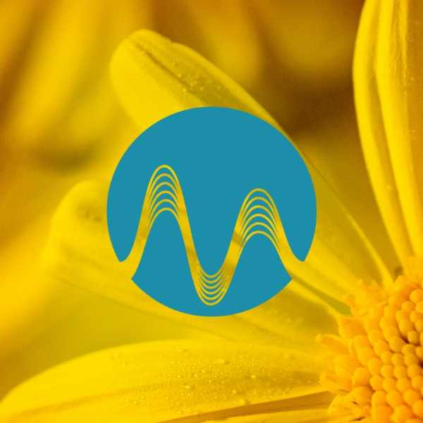 Morning Colours - music catalogue - Music Radio Creative