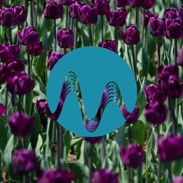 Open Season - music catalogue - Music Radio Creative