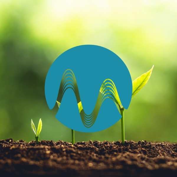 Positive Growth - music catalogue - Music Radio Creative