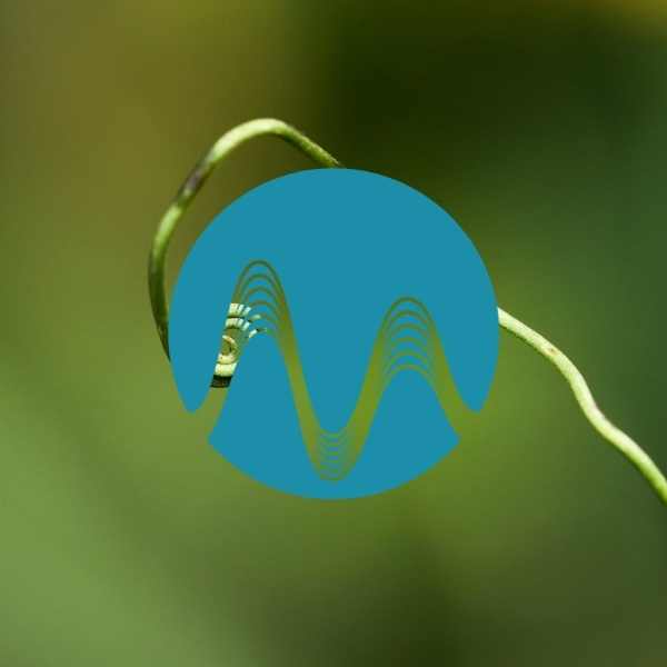 Powerful Imperfection - music catalogue - Music Radio Creative