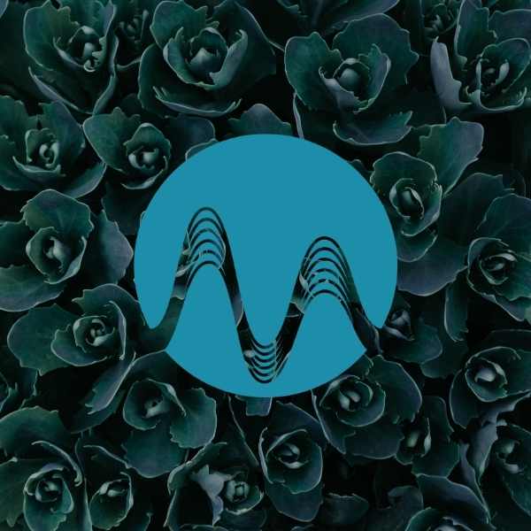 Rock Waves - music catalogue - Music Radio Creative