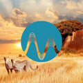 Safari Beats cover art