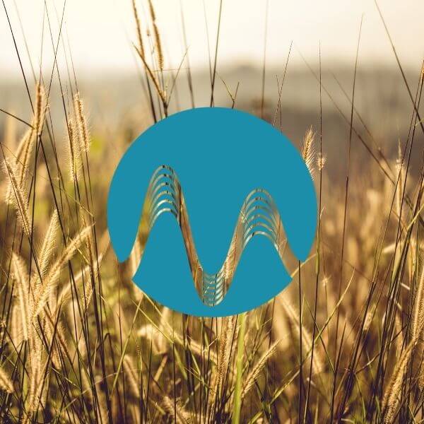 Simple Life - music catalogue - Music Radio Creative