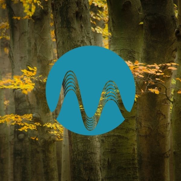 Slow Soul - music catalogue - Music Radio Creative