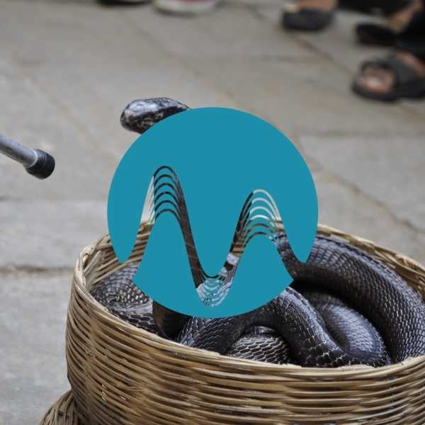 Snake Whisperer - music catalogue - Music Radio Creative