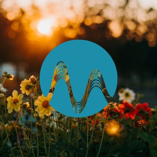 Soaring High Above - music catalogue - Music Radio Creative