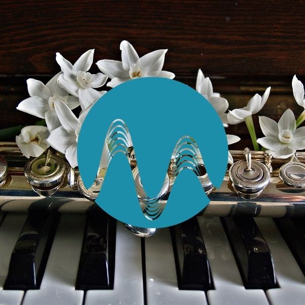 Sophisticated Player - music catalogue - Music Radio Creative