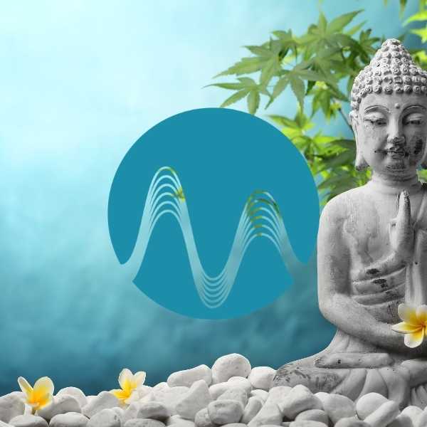Spa Treatment - music catalogue - Music Radio Creative