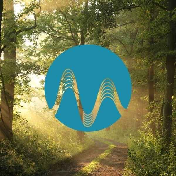 Spiritual Path - music catalogue - Music Radio Creative