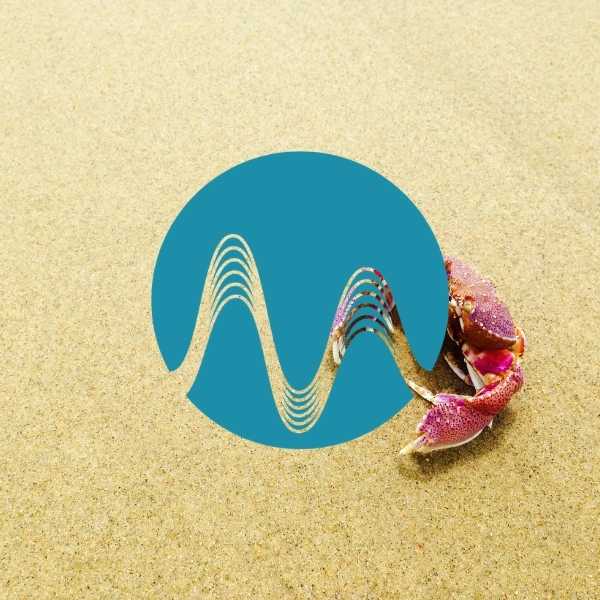 Summer Creatures - music catalogue - Music Radio Creative