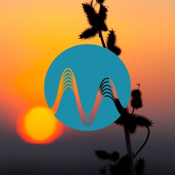 Sunday Love - music catalogue - Music Radio Creative