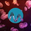 Unknown Territory cover art