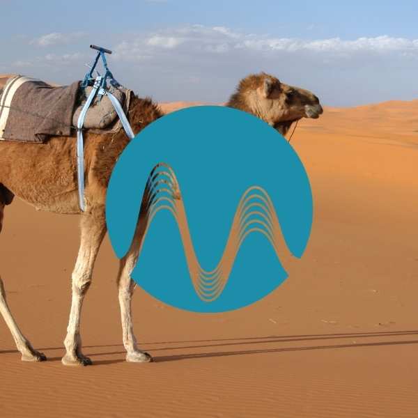 Wandering Merchant - music catalogue - Music Radio Creative