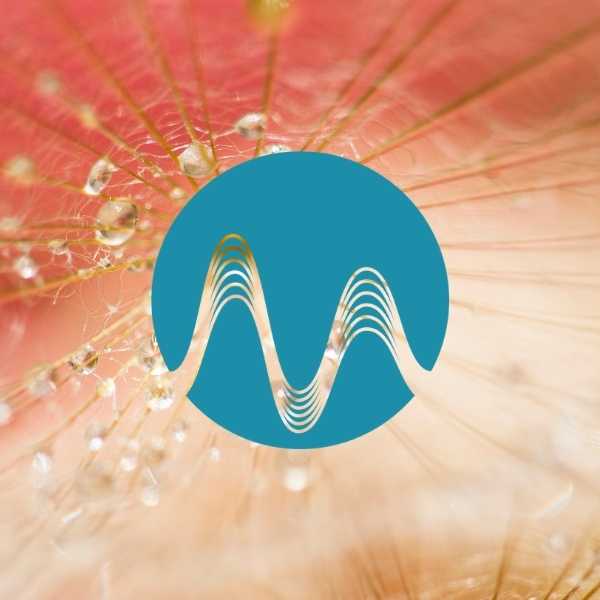 Water Edge - music catalogue - Music Radio Creative