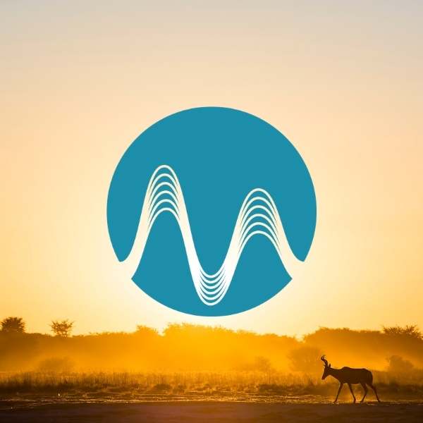 Wave and Sand - music catalogue - Music Radio Creative