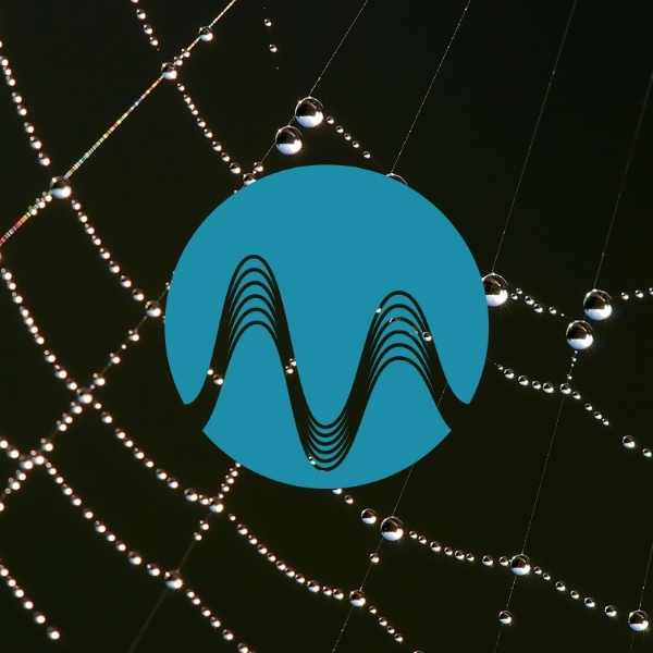 Web of Lies - music catalogue - Music Radio Creative