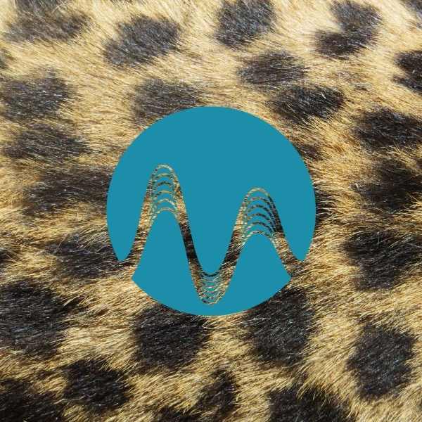 Wild Animal - music catalogue - Music Radio Creative